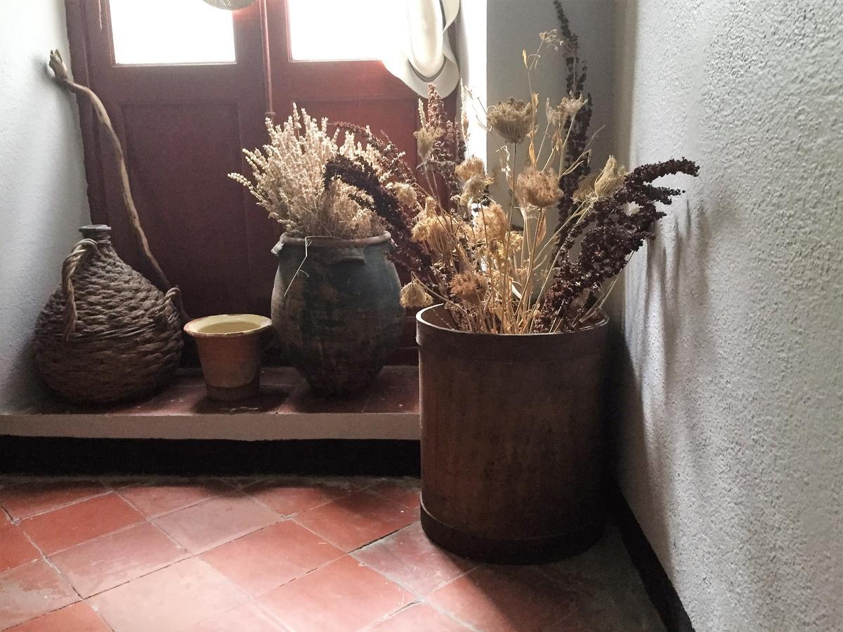 Hotel Aiglon Olmeto  Luaran gambar